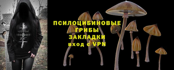 первитин Армянск